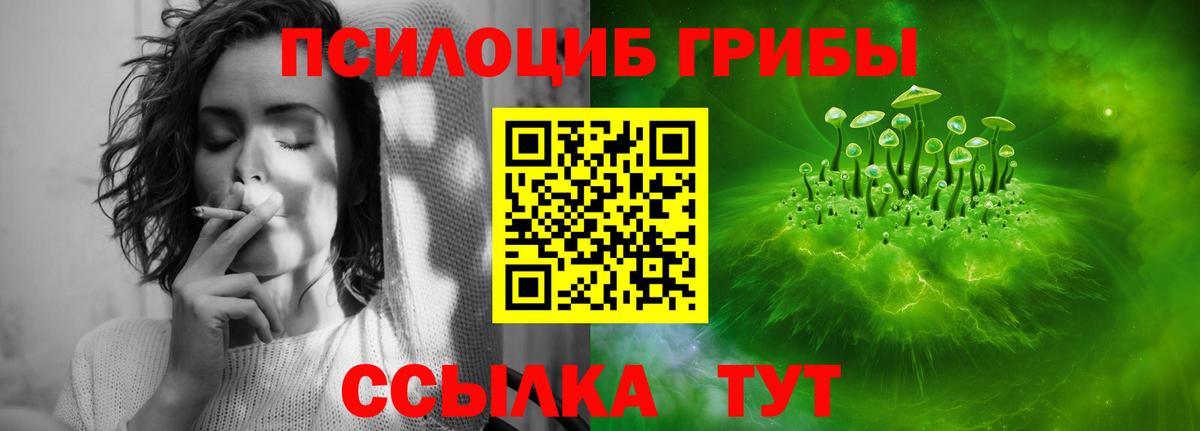 Псилоцибиновые грибы мухоморы  Псилоцибиновые грибы ЛСД  хочу   Владивосток  Вход с VPN 