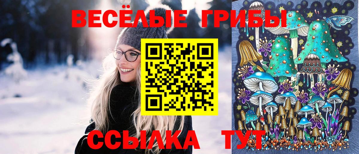 Псилоцибиновые грибы GOLDEN TEACHER Владивосток